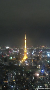 東京タワー夜景.JPG