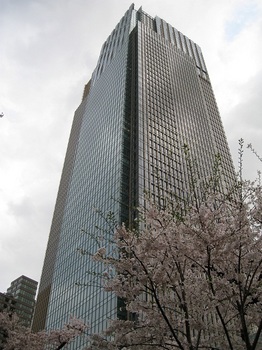 sakura2010-01.JPG